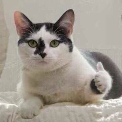 鍝嗗暒a姊︾溂褰辩洏,灞堣嚕姘忓搯鍟姊︾溂褰辩洏