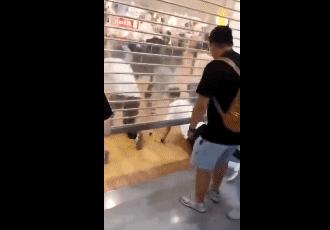 优衣库疯抢事件,优衣库被抢场面