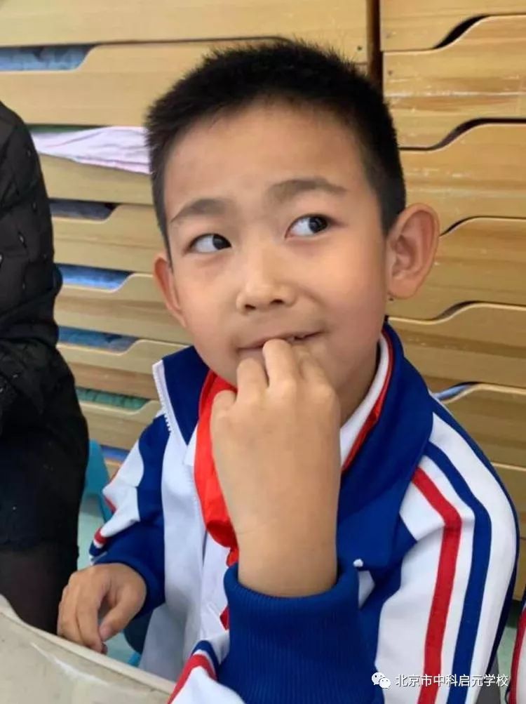 七巧板益智卡片,七巧板情景卡片