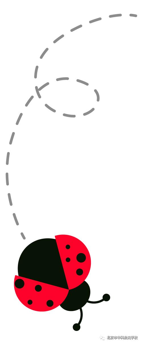 七巧板益智卡片,七巧板情景卡片