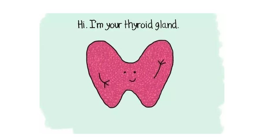 孕期甲状腺功能减退饮食关注,妊娠期甲状腺功能减退用药