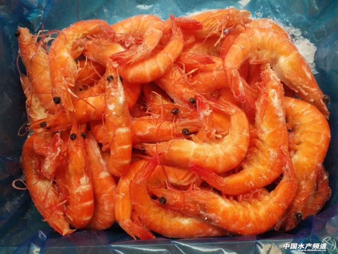 饭店的白灼虾为什么那么好吃,大排档的白灼虾为什么那么鲜甜