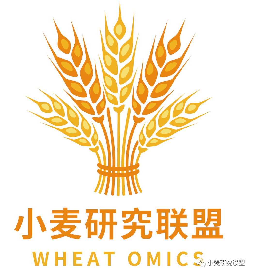 NatureCommun|刘志勇组与李洪杰组合作克隆小麦抗*粉白**病基因Pm24