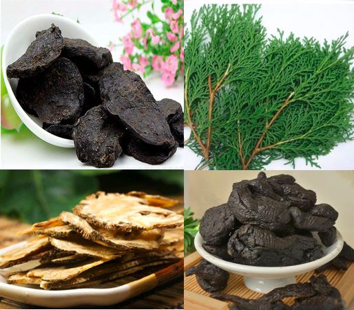 女王霸气出场,女王霸气回归古装