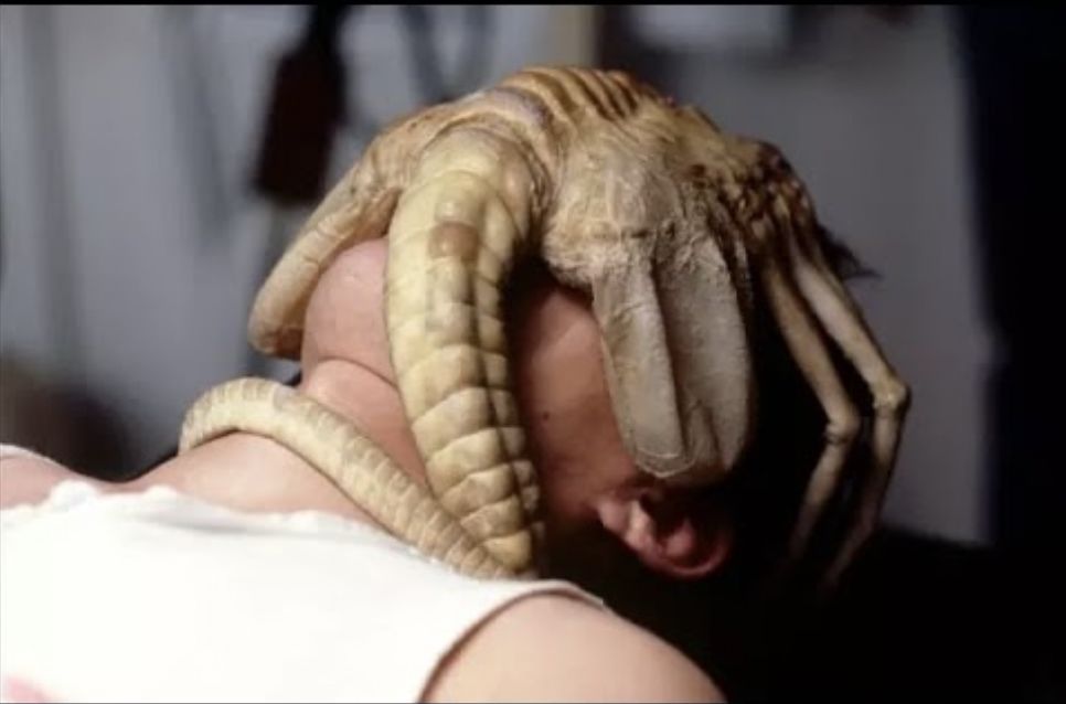 362本恐怖小说,恐怖小说是有多恐怖啊