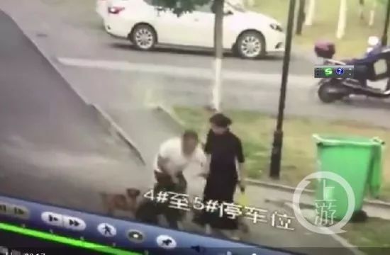 小狗遭不拴绳大狗撕咬，男子护小狗不成被咬！*体下**缝30多针