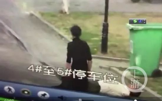 小狗遭不拴绳大狗撕咬，男子护小狗不成被咬！*体下**缝30多针