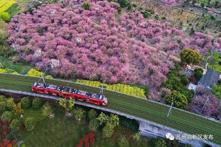 高新区的那些事,高新第一批申报时间