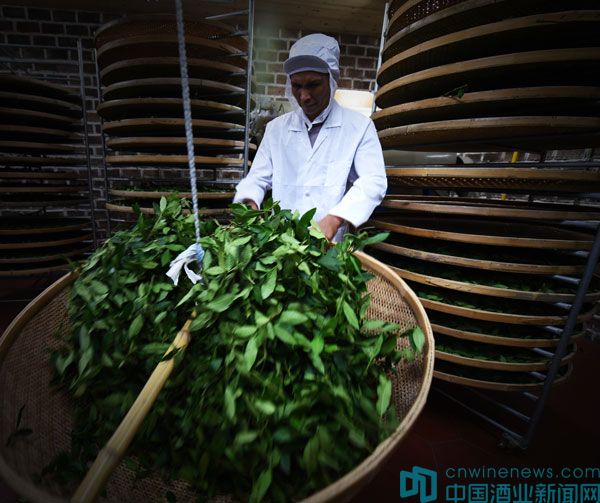 企业匠心看“日春”