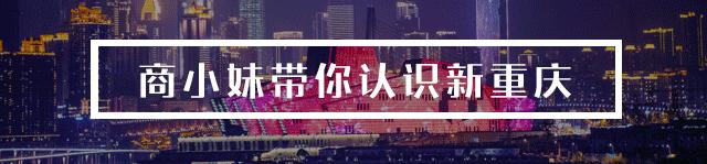 直男防骗攻略手册,直男防骗指南