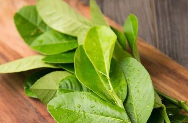 1瓶帮你搞定99种难缠异味