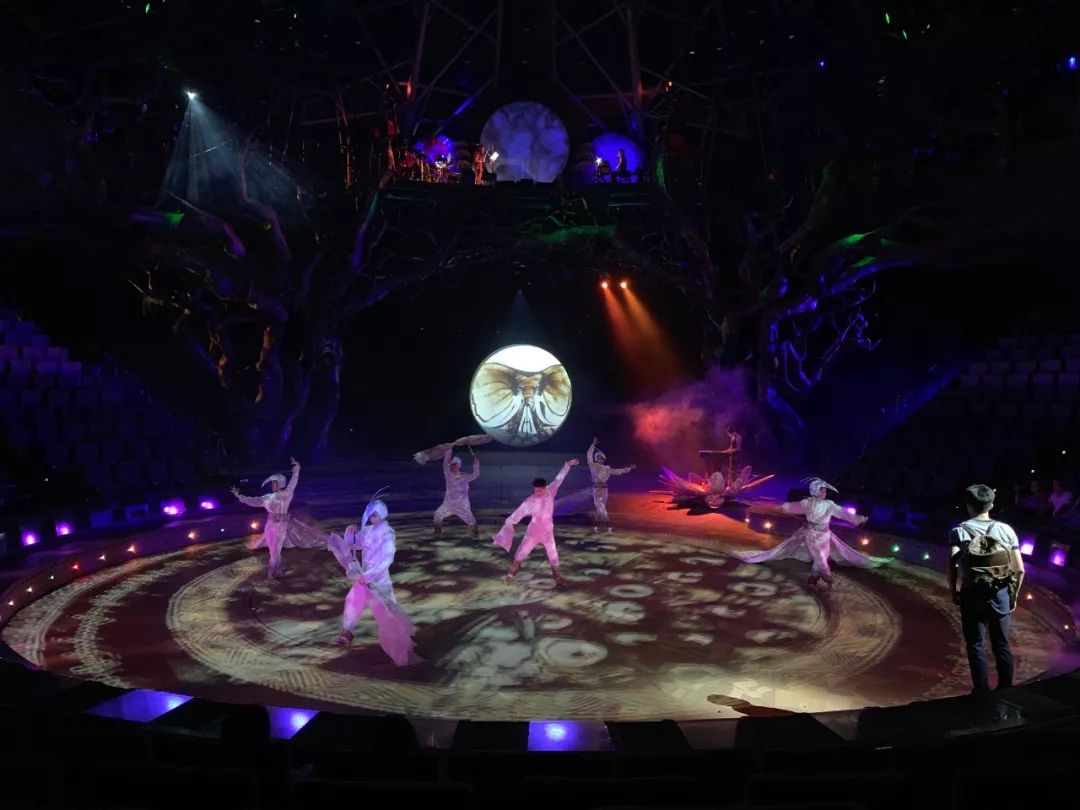 希尔顿最值得购买的酒店,云南丽江晶玺希尔顿酒店