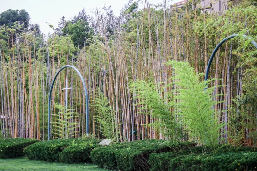 希尔顿最值得购买的酒店,云南丽江晶玺希尔顿酒店