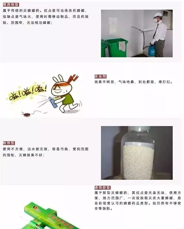 日本发明了机械蟑螂,日本杀蟑螂神器