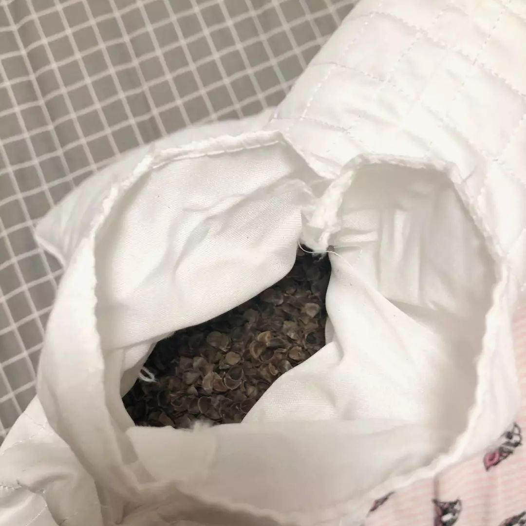 产品测评|关于荞麦枕，用过的人有话说