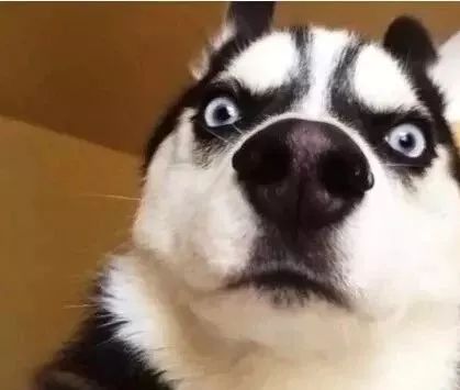 以色列国宝级护肤品，这价格是不是太张狂了？丨好物推荐