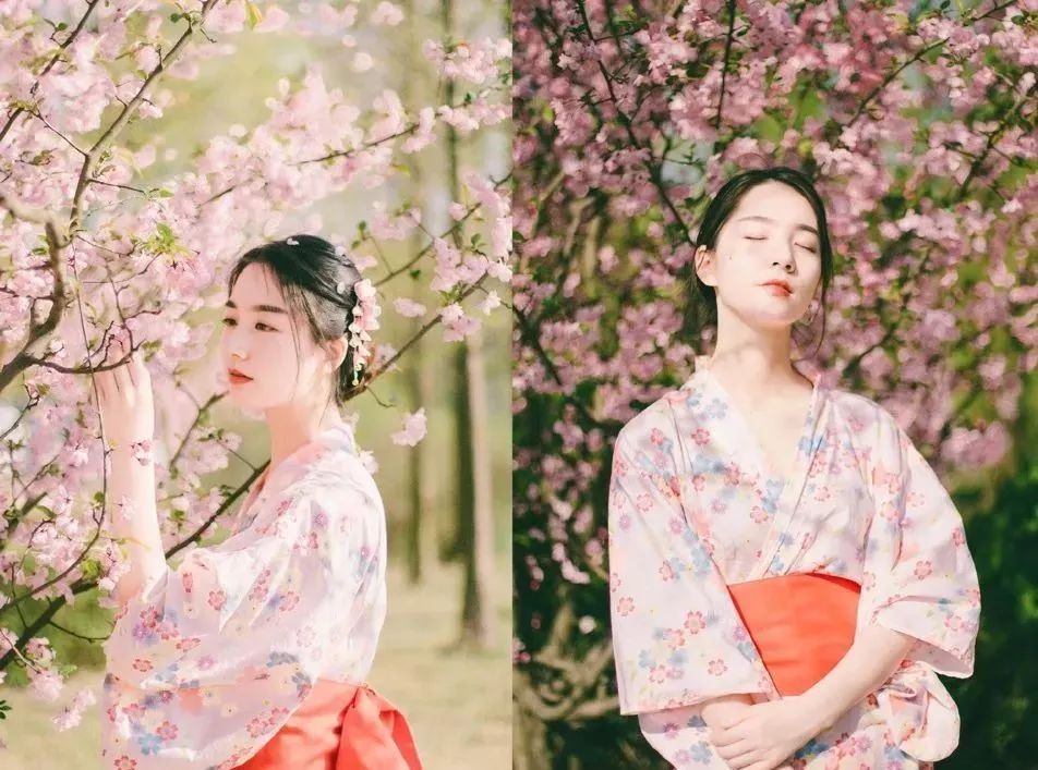 拍照攻略大全苏州风景,苏州哪里拍照好看又实惠