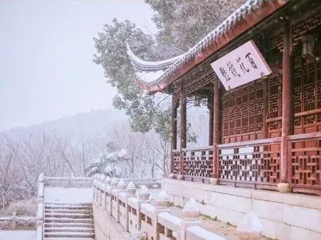 拍照攻略大全苏州风景,苏州哪里拍照好看又实惠