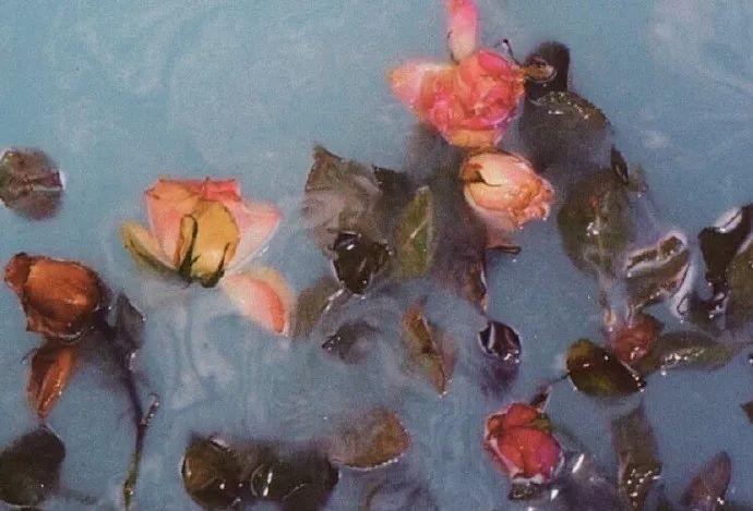 舒适度月经杯,最好用的姨妈杯