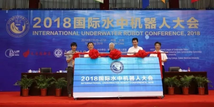 临港海洋节最新视频,临港海洋节