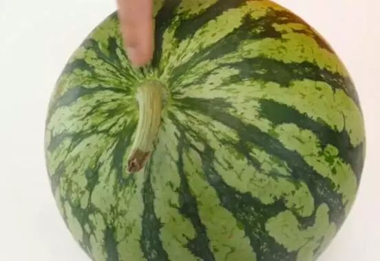 挑西瓜的小妙招你学会了吗,挑西瓜最甜的方法