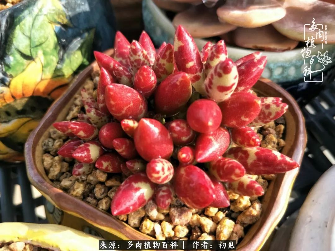 紧张焦虑高考,高考紧张时刻有你陪伴