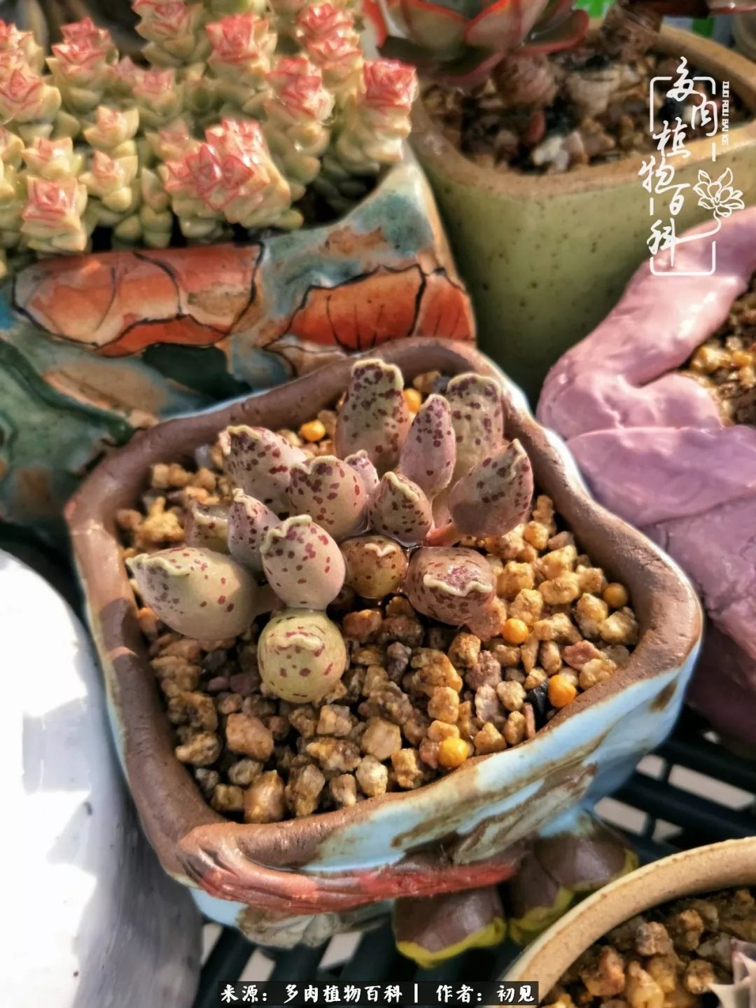 紧张焦虑高考,高考紧张时刻有你陪伴