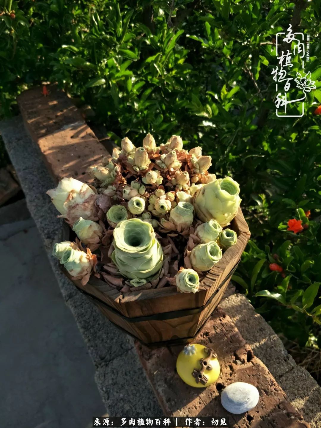 紧张焦虑高考,高考紧张时刻有你陪伴