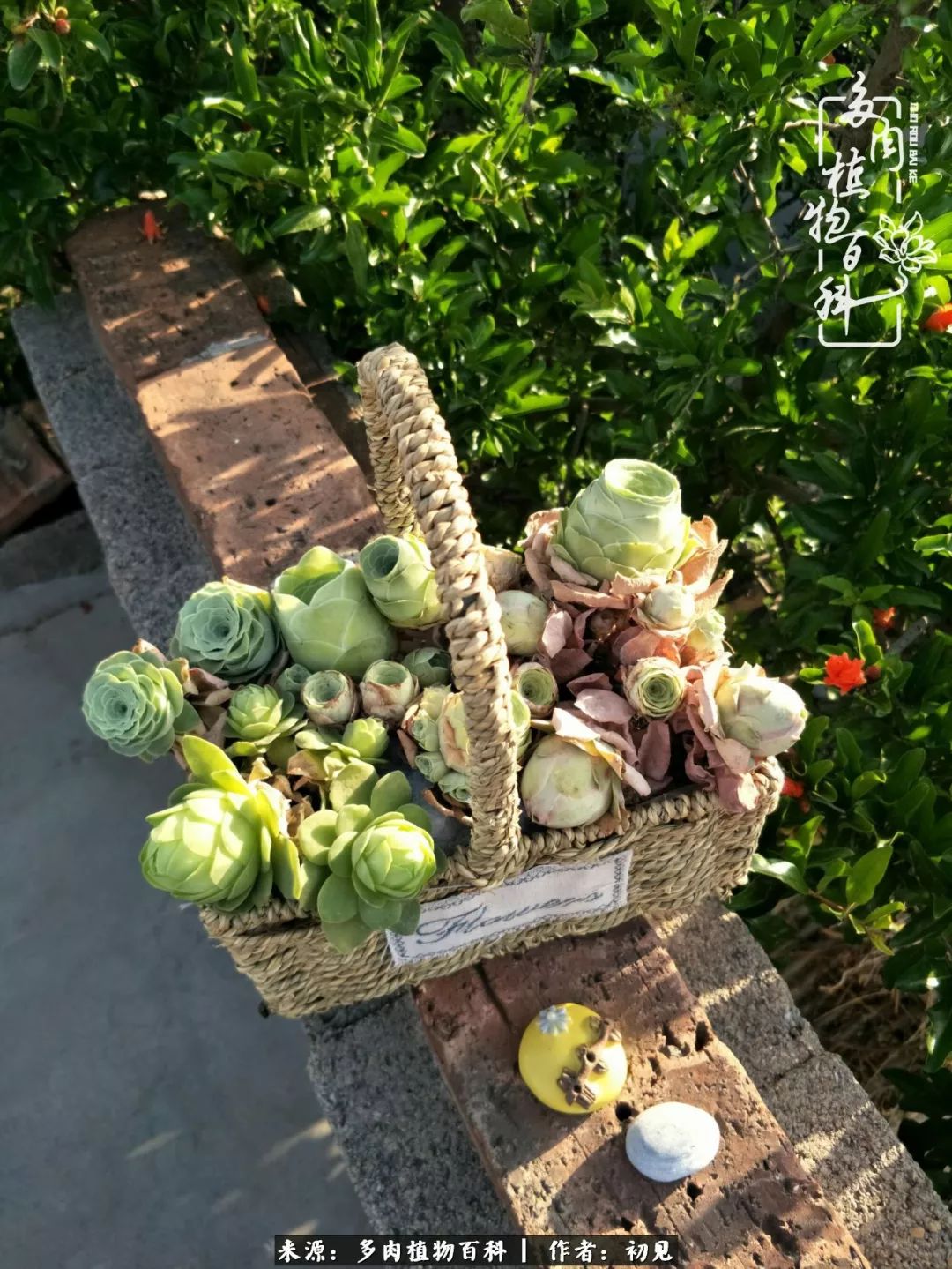 紧张焦虑高考,高考紧张时刻有你陪伴