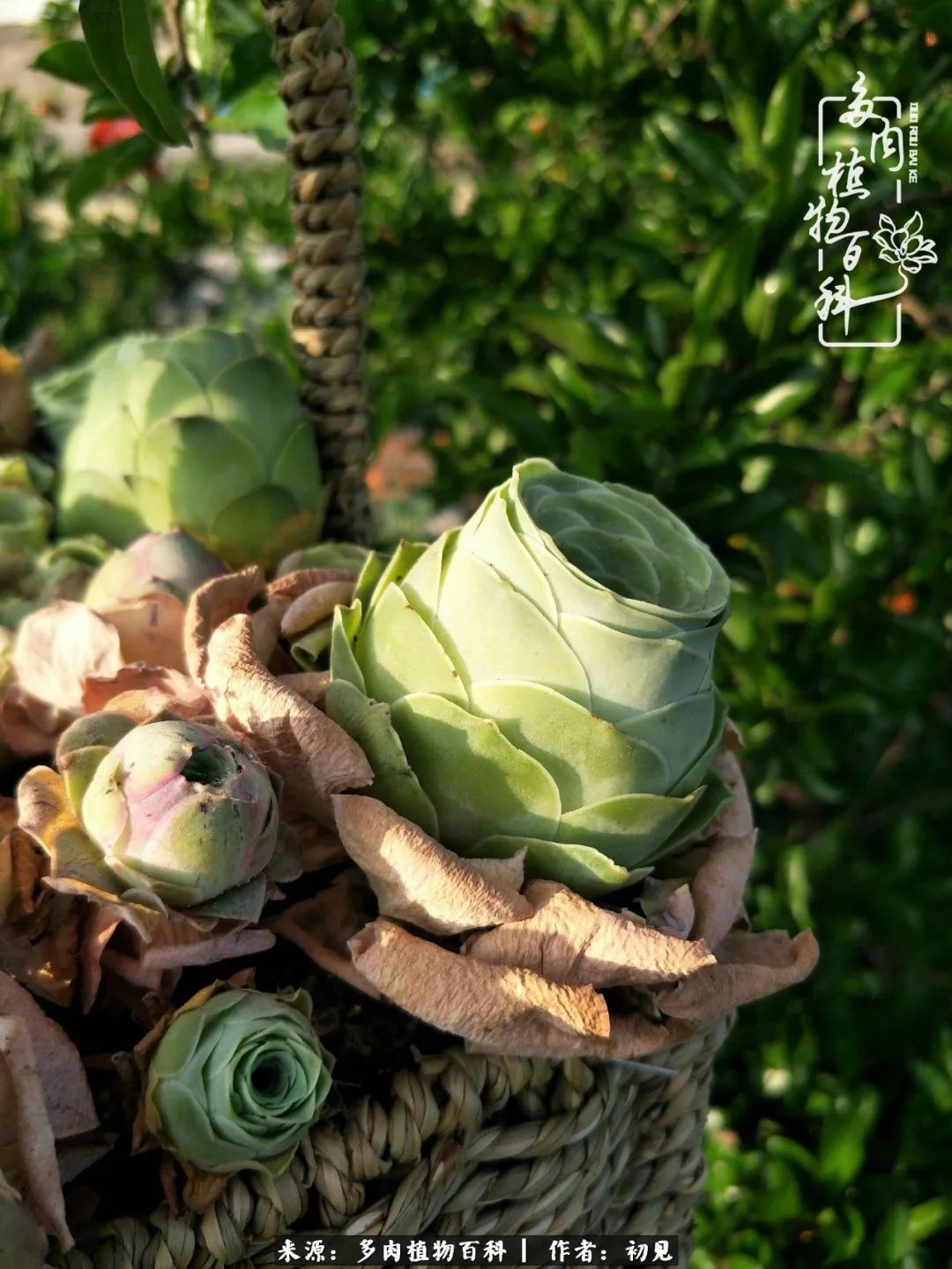 紧张焦虑高考,高考紧张时刻有你陪伴