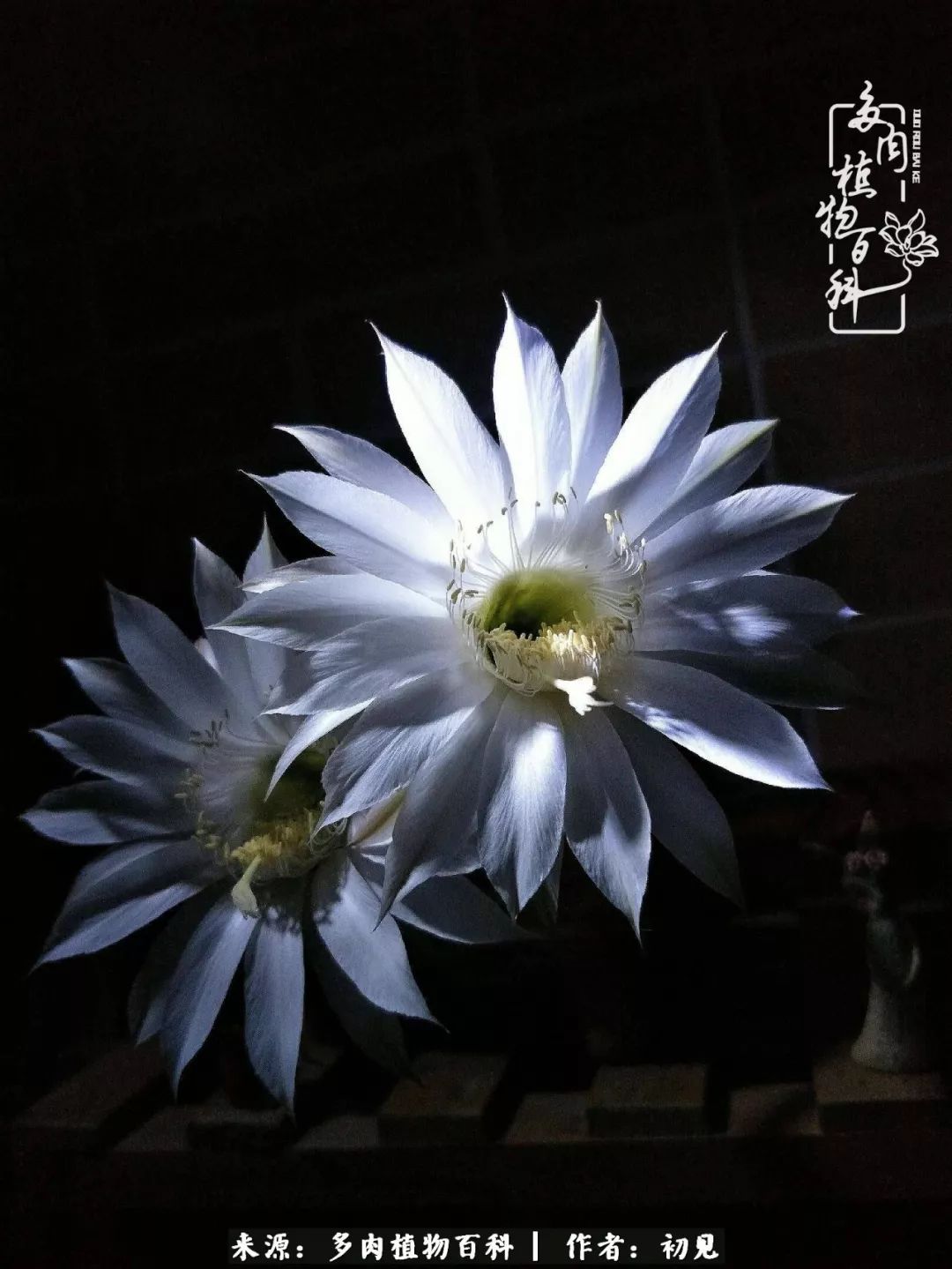 紧张焦虑高考,高考紧张时刻有你陪伴