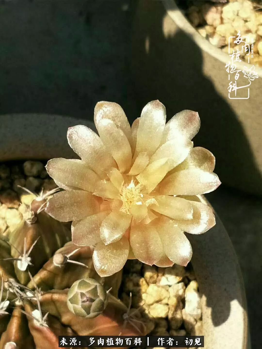 紧张焦虑高考,高考紧张时刻有你陪伴