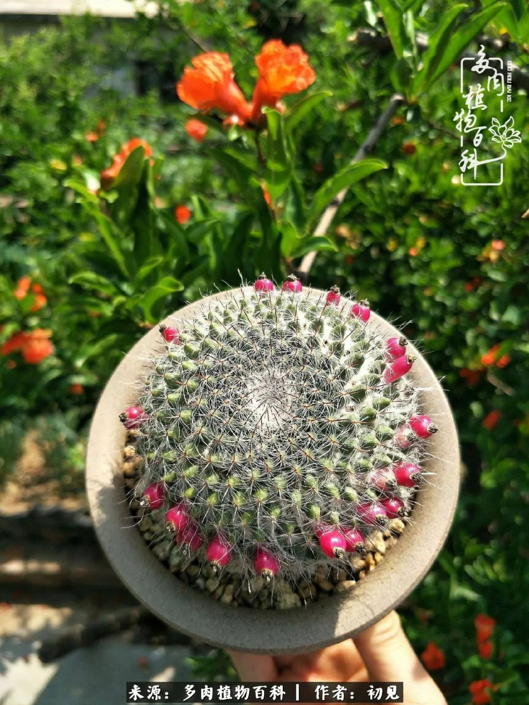 紧张焦虑高考,高考紧张时刻有你陪伴