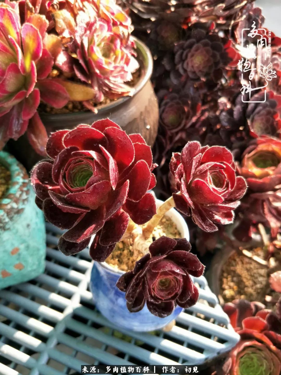 紧张焦虑高考,高考紧张时刻有你陪伴