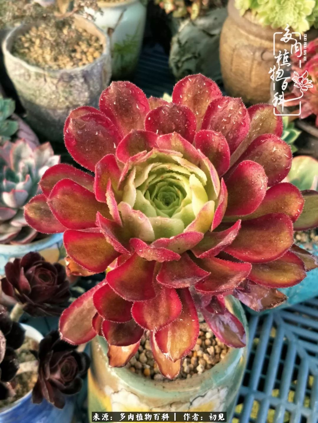 紧张焦虑高考,高考紧张时刻有你陪伴