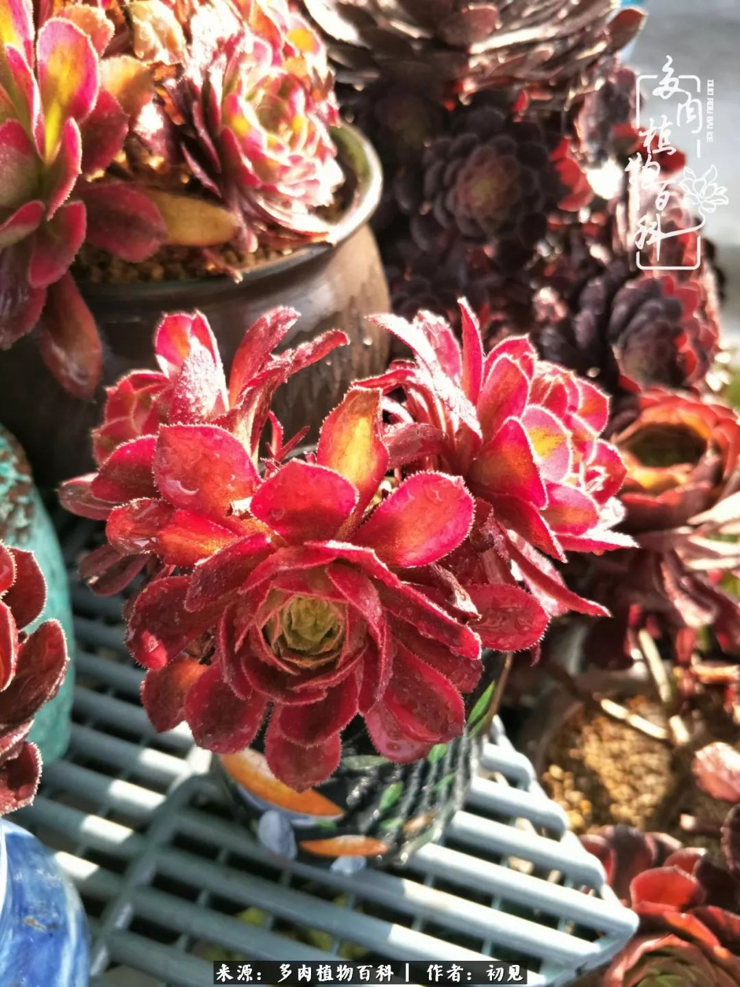 紧张焦虑高考,高考紧张时刻有你陪伴