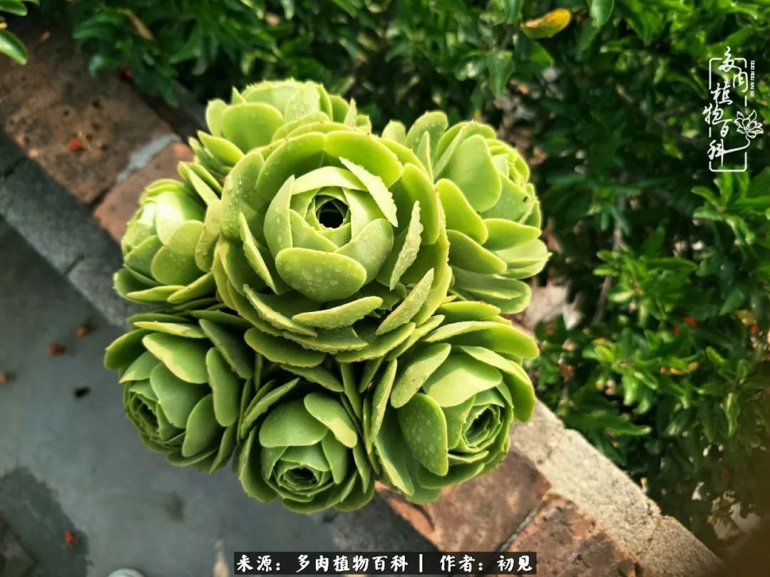 紧张焦虑高考,高考紧张时刻有你陪伴