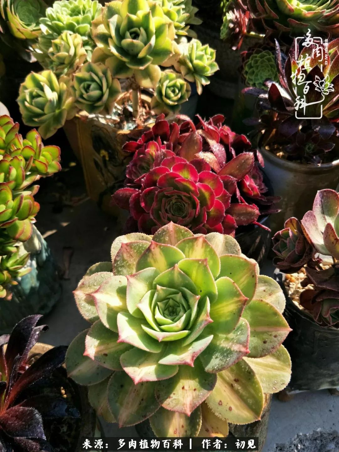 紧张焦虑高考,高考紧张时刻有你陪伴