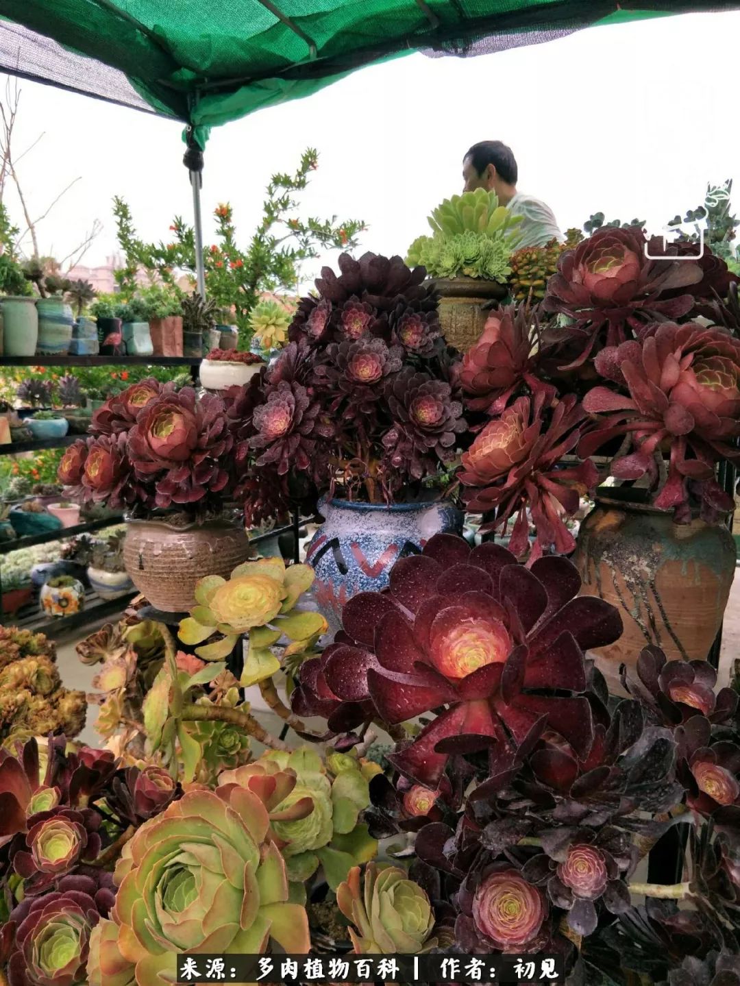 紧张焦虑高考,高考紧张时刻有你陪伴