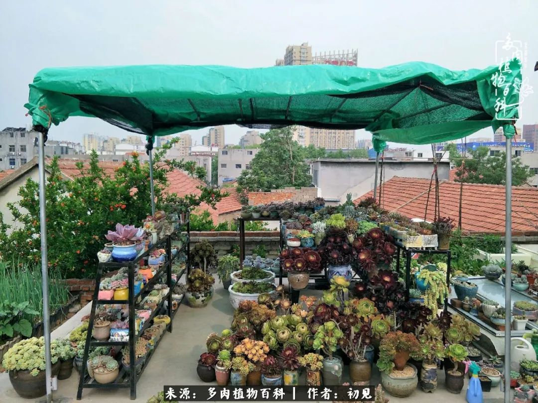 紧张焦虑高考,高考紧张时刻有你陪伴