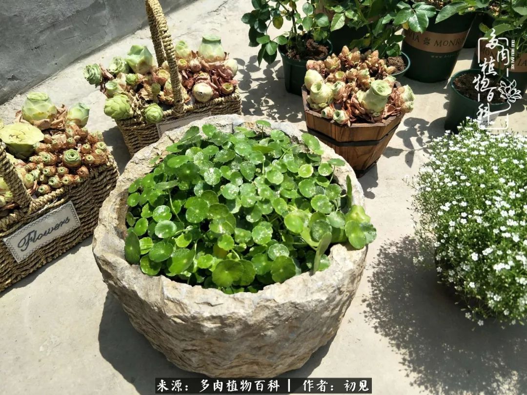 紧张焦虑高考,高考紧张时刻有你陪伴