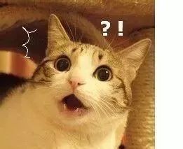 哪些禁售的日本网红眼药水,日本网红眼药水禁售原因