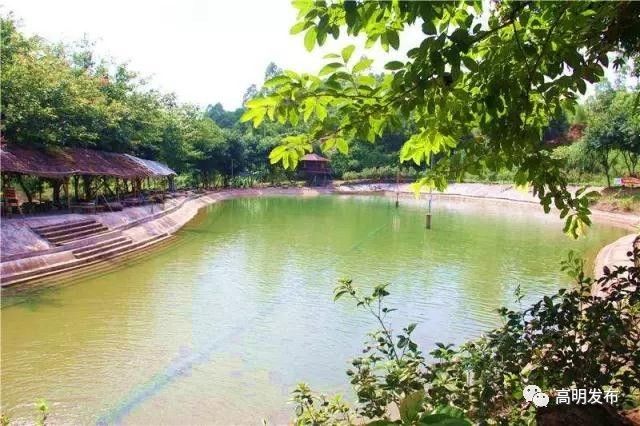 造浪池水滑梯,造浪池最好玩的水上乐园