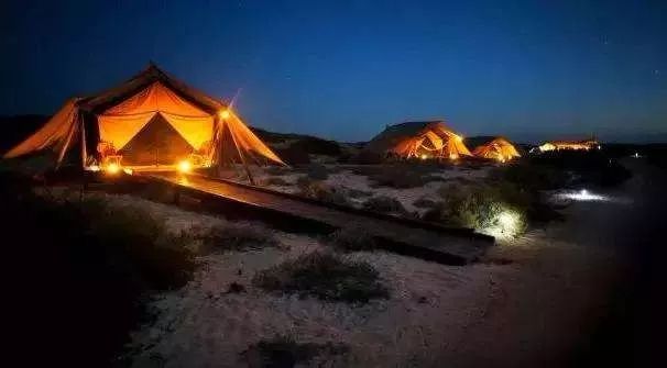 沙滩篝火啤酒狂欢,海边篝火夜晚狂欢