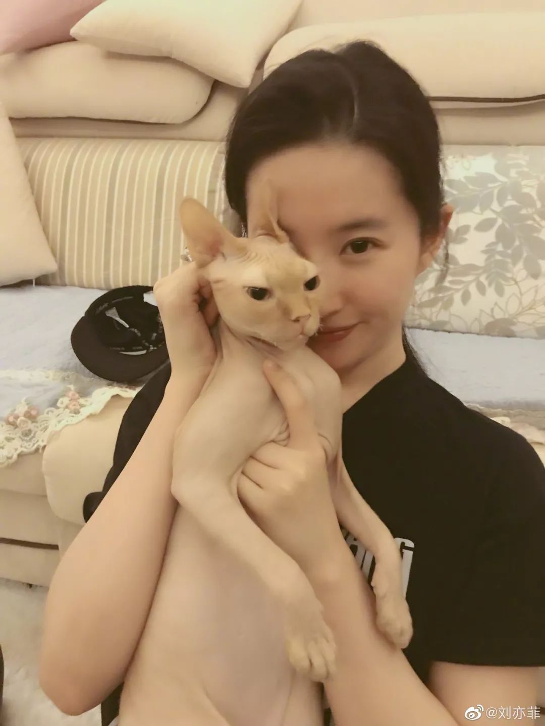 刘亦菲购买日本药妆产品,刘亦菲品牌化妆品