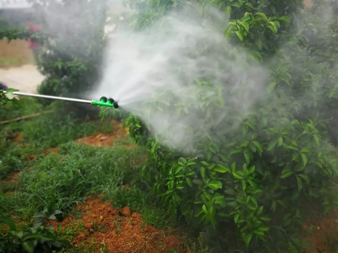 磷酸二氢钾假货是肥效不够吗,磷酸二氢钾不溶于水是假货吗