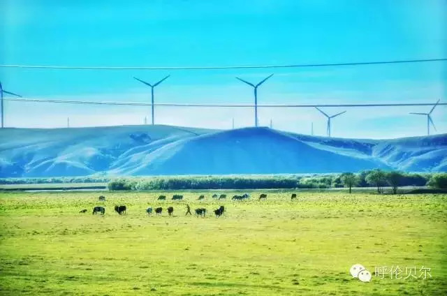 呼伦贝尔牙克石十大旅游景点,呼伦贝尔大草原收藏
