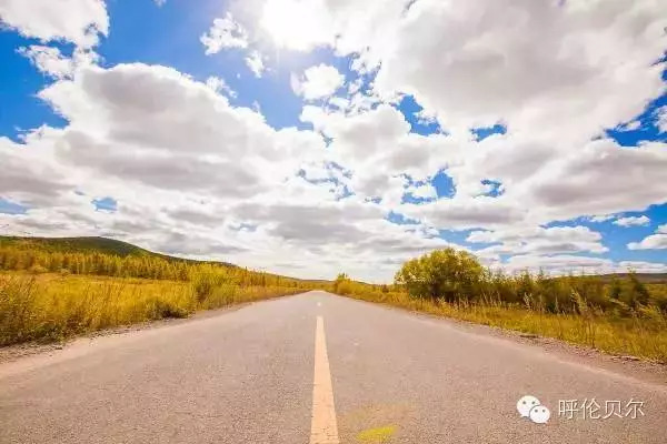 呼伦贝尔牙克石十大旅游景点,呼伦贝尔大草原收藏