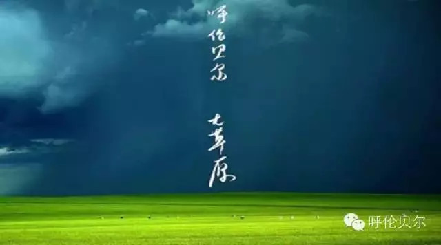 呼伦贝尔牙克石十大旅游景点,呼伦贝尔大草原收藏