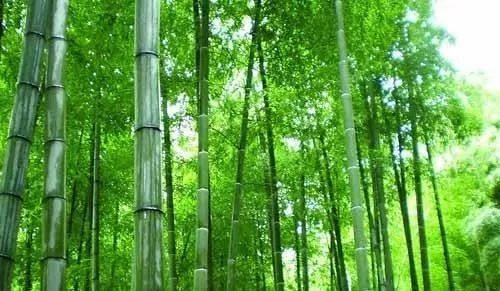 生活累了那就来感受一下大自然,让疲惫的身体回归原生态大自然